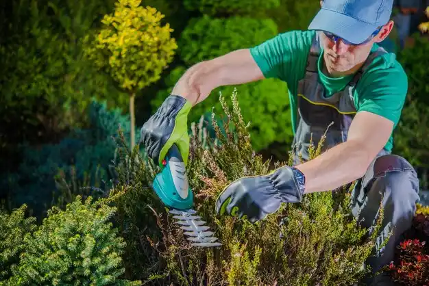 landscaping services Groesbeck